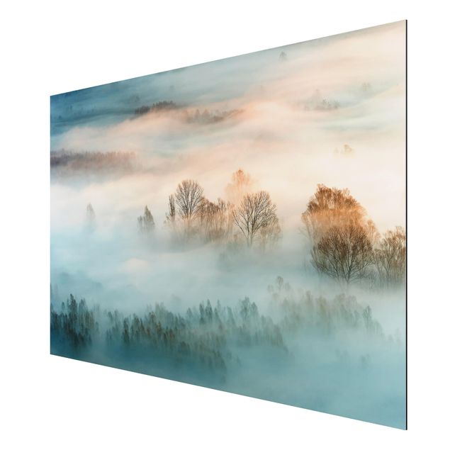 Wandbilder Landschaften Nebel bei Sonnenaufgang