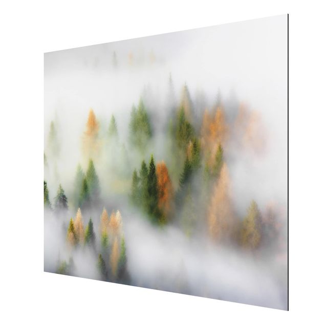 Wandbilder Landschaften Nebelwald im Herbst