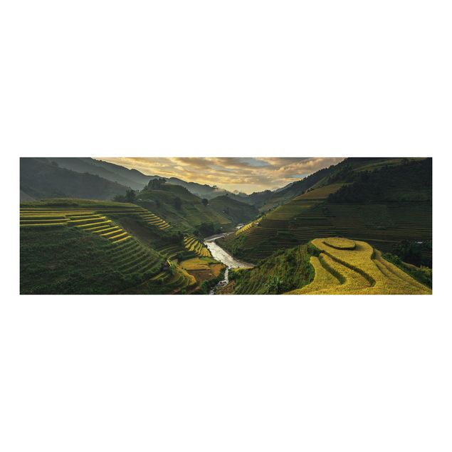 Wandbilder Berge Reisplantagen in Vietnam