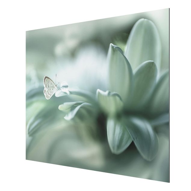 Wandbilder Floral Schmetterling und Tautropfen in Pastellgrün