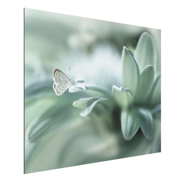 Wandbilder Schmetterlinge Schmetterling und Tautropfen in Pastellgrün