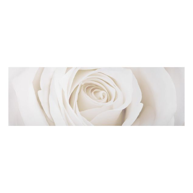 Wandbilder Floral Pretty White Rose