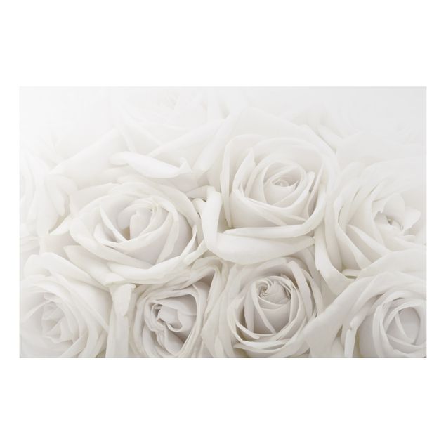 Wandbilder Floral Weiße Rosen