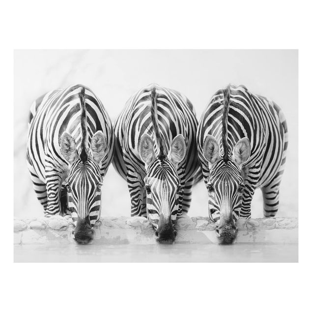 Wanddeko Küche Zebra Trio schwarz-weiß