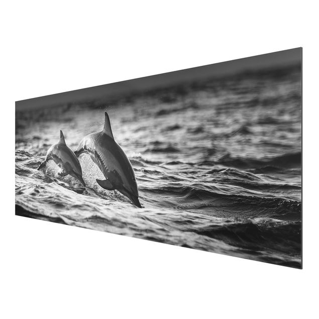 Wandbilder Modern Zwei springende Delfine