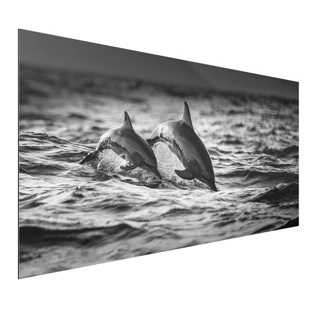 Wandbilder Fische Zwei springende Delfine
