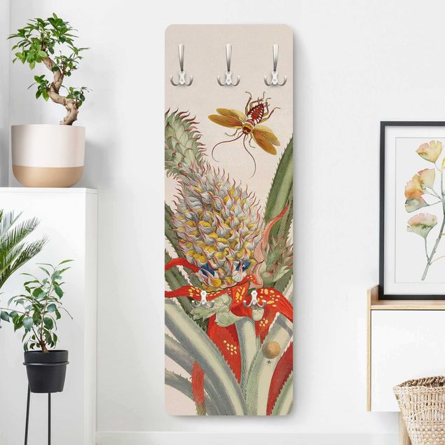 Kunststile Anna Maria Sibylla Merian - Ananas mit Insekten