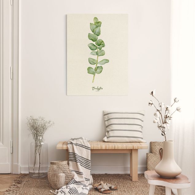 Wandbilder Floral Aquarell Botanik Eukalyptus