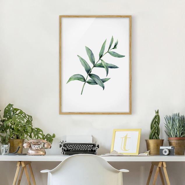 Blumenbilder mit Rahmen Aquarell Eucalyptus I