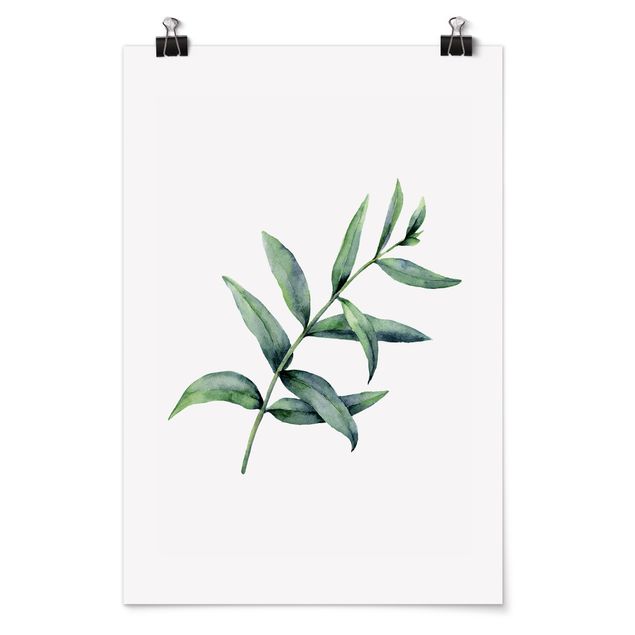 Wandbilder Blumen Aquarell Eucalyptus I