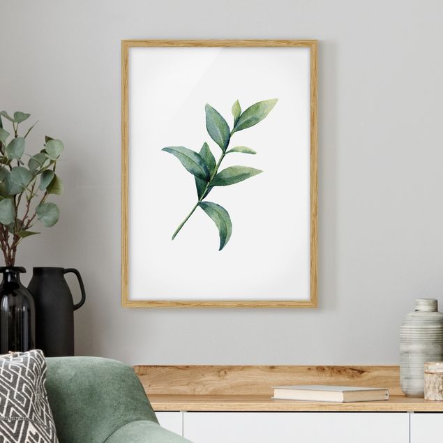 gerahmte Blumenbilder Aquarell Eucalyptus II