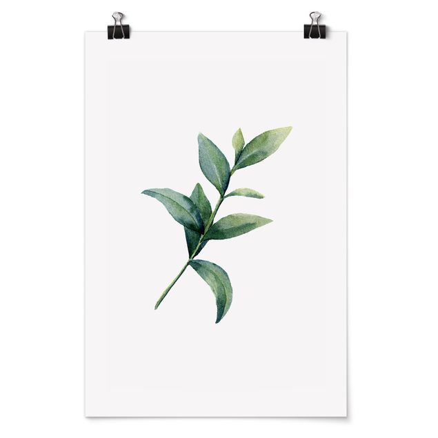 Wandbilder Blumen Aquarell Eucalyptus II