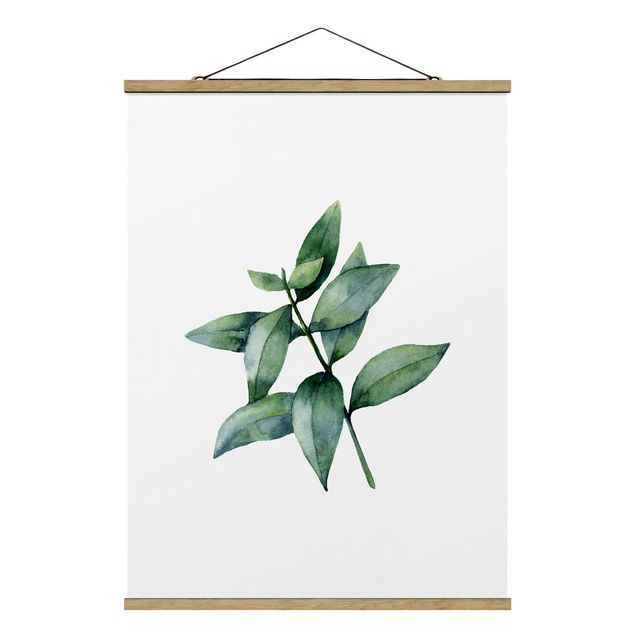 Wandbilder Modern Aquarell Eucalyptus III