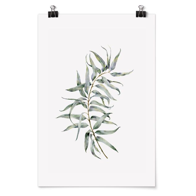 Wandbilder Blumen Aquarell Eucalyptus IV