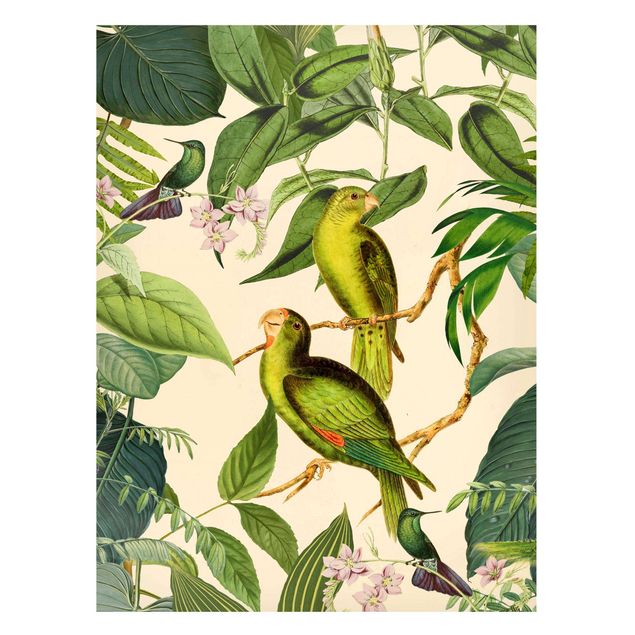 Wandbilder Dschungel Vintage Collage - Papageien im Dschungel