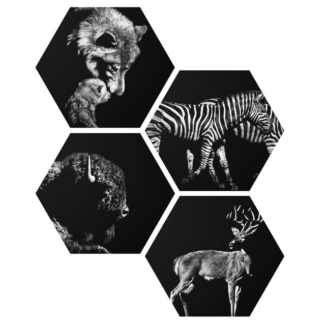 Wandbilder Modern Wildtiere vor Schwarz Set II