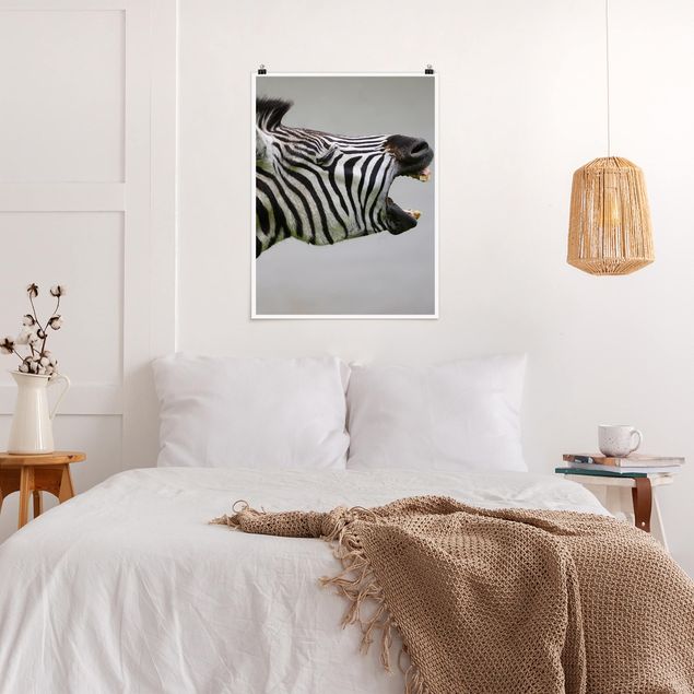 Tierposter Brüllendes Zebra