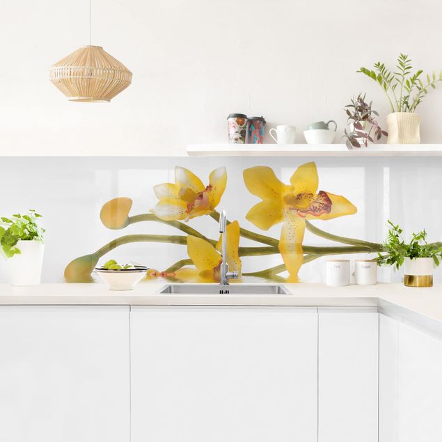 Küchenrückwände Blumen Saffron Orchid Waters