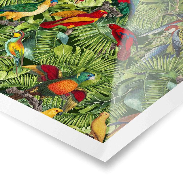 Wandbilder Bunt Bunte Collage - Papageien im Dschungel