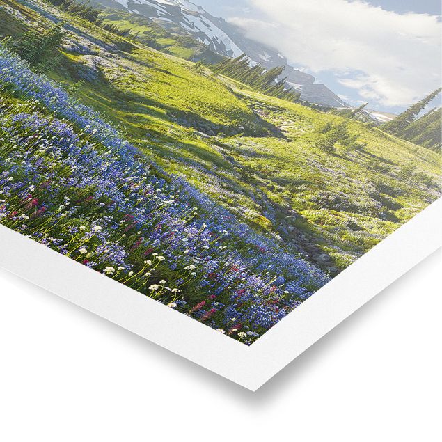 Poster mit Blumen Bergwiese mit blauen Blumen vor Mt. Rainier