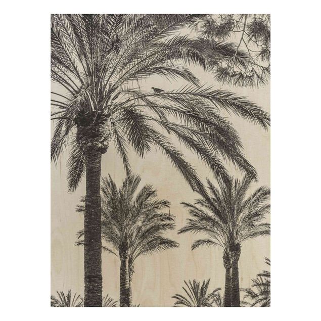 Holzbilder Blumen Palmen im Sonnenuntergang Schwarz-Weiß