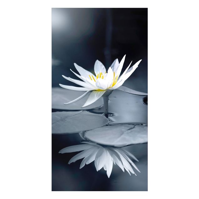 Duschrückwand - Lotus Spiegelung im Wasser