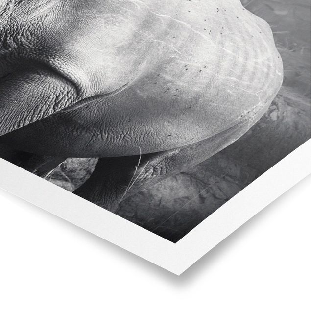 Wandbilder Schwarz-Weiß Lonesome Rhinoceros