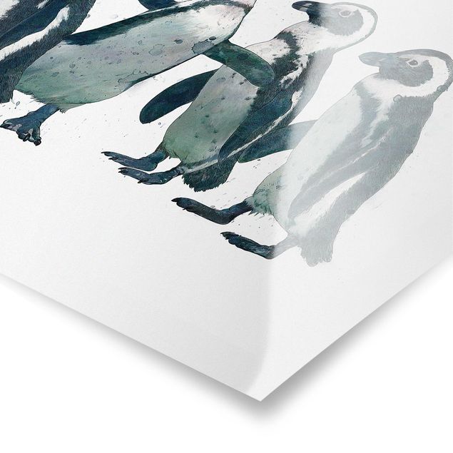 Laura Graves Art Illustration Pinguine Schwarz Weiß Aquarell