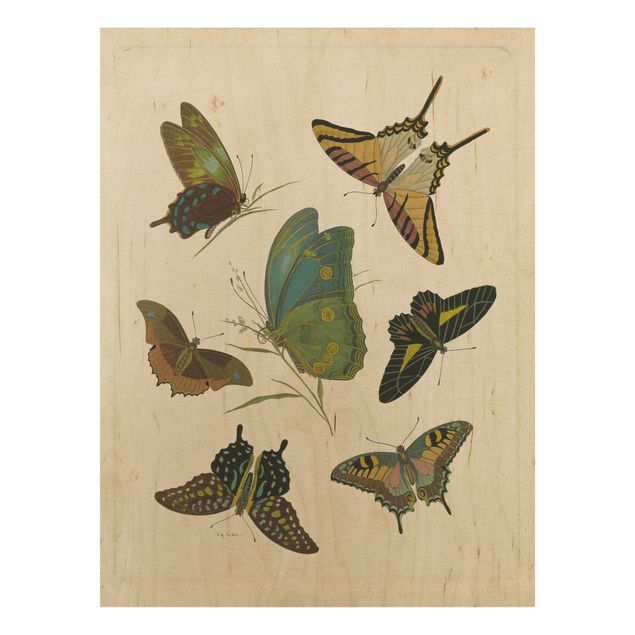 Vintage Bilder Holz Vintage Illustration Exotische Schmetterlinge