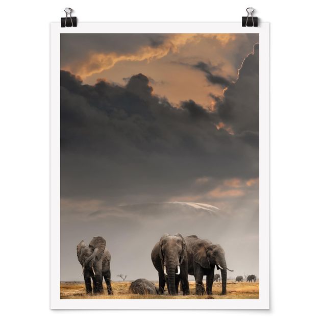 Poster Tiere Elefanten der Savanne