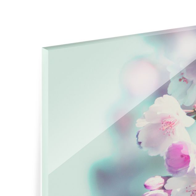 Spritzschutz Glas - Farbenfrohe Kirschblüten - Querformat 3:2