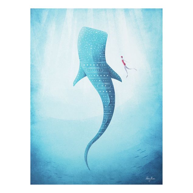 Wandbilder Kunstdrucke Der Walhai