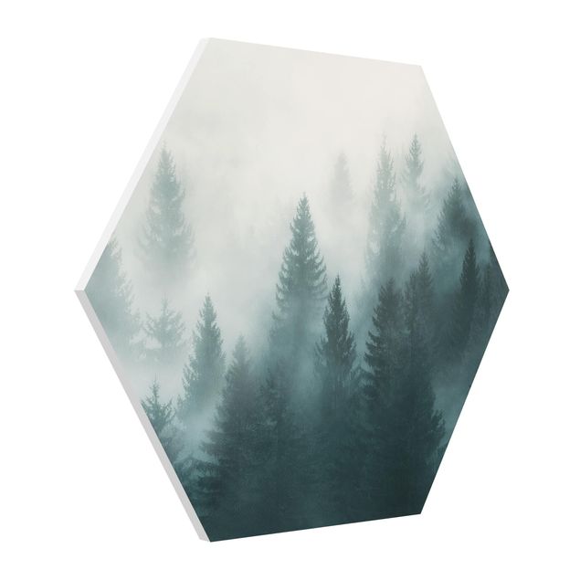 Wandbilder Natur Nadelwald im Nebel