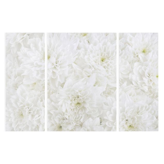 Bilder Dahlien Blumenmeer weiß