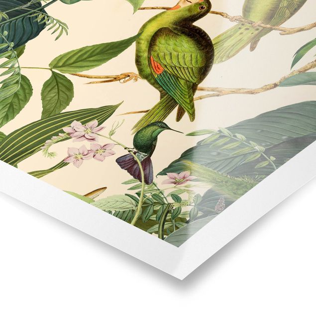 Wandbilder Grün Vintage Collage - Papageien im Dschungel