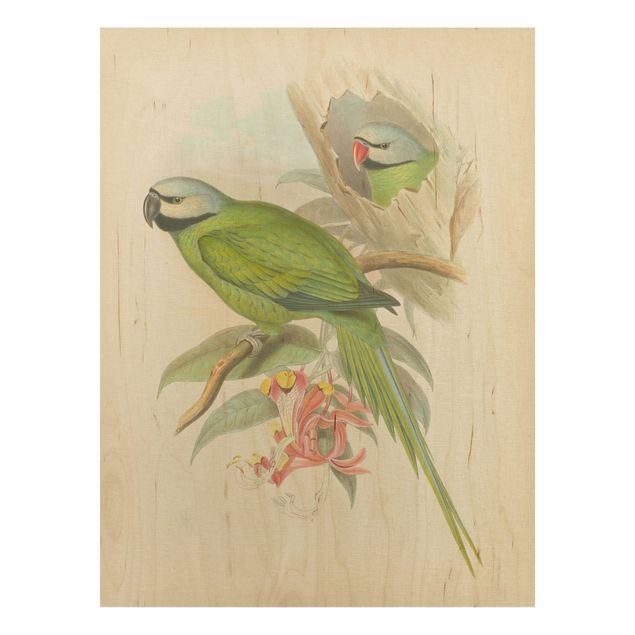 Holzbilder Blumen Vintage Illustration Tropische Vögel II