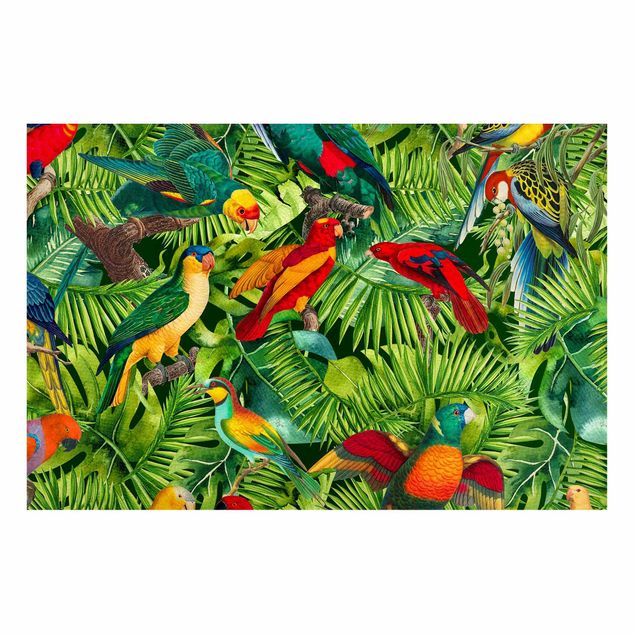 Wandbilder Dschungel Bunte Collage - Papageien im Dschungel