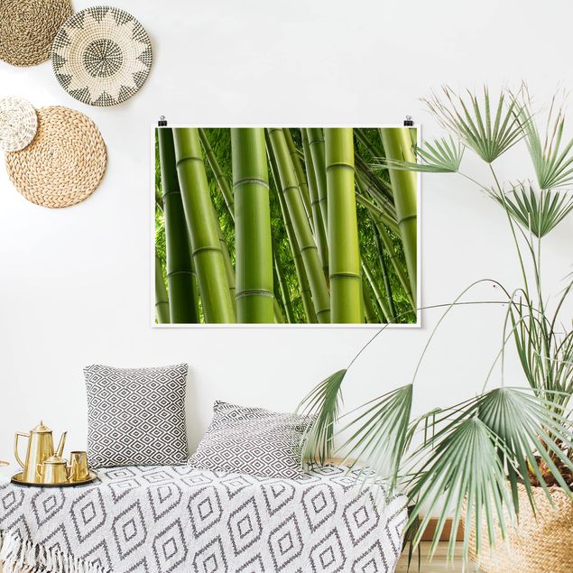 Wandbilder Landschaften Bamboo Trees No.2