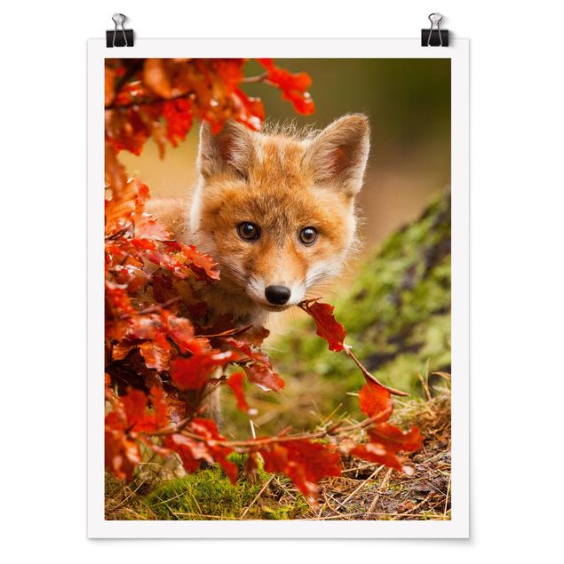 Poster Blumen Fuchs im Herbst