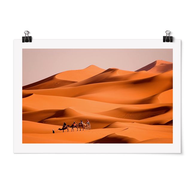 Natur Poster Namib Desert