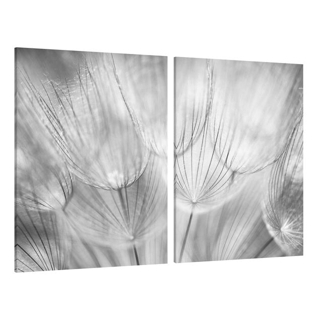 schwarz-weiß Bilder auf Leinwand Pusteblumen Makroaufnahme in schwarz weiß