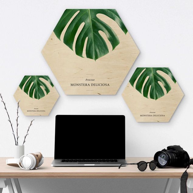 Hexagon Bild Holz - Tropisches Blatt Monstera