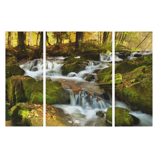Leinwandbilder Naturmotive Wasserfall herbstlicher Wald