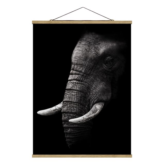 Wandbilder Natur Dunkles Elefanten Portrait