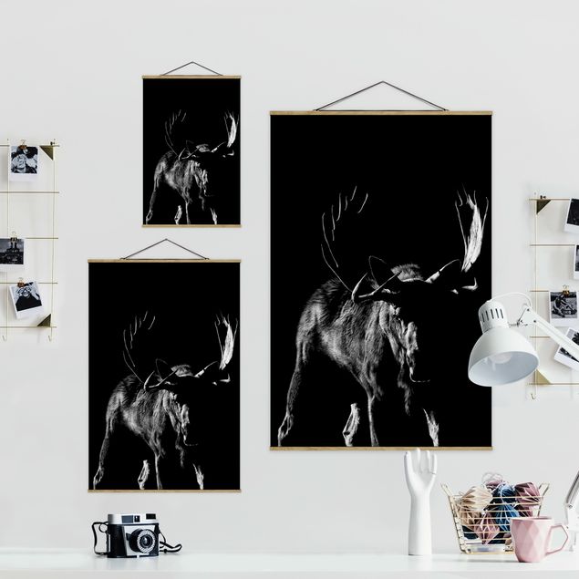 Wandbilder Schwarz-Weiß Bulle vor Schwarz