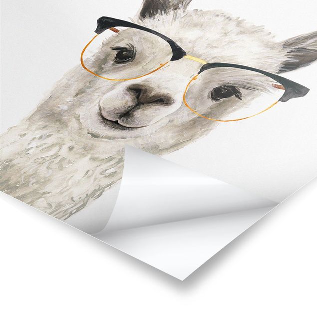Bilder Hippes Lama mit Brille I