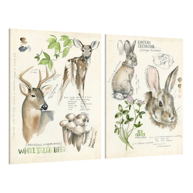 Wandbilder Floral Wildnis Journal - Hirsch und Kaninchen Set II