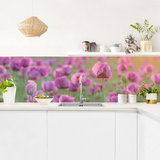 Küchenrückwände Blumen Violette Schlafmohn Blumenwiese im Frühling