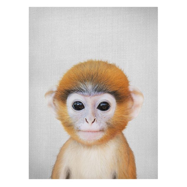 Leinwandbilder Tiere Baby Affe Anton