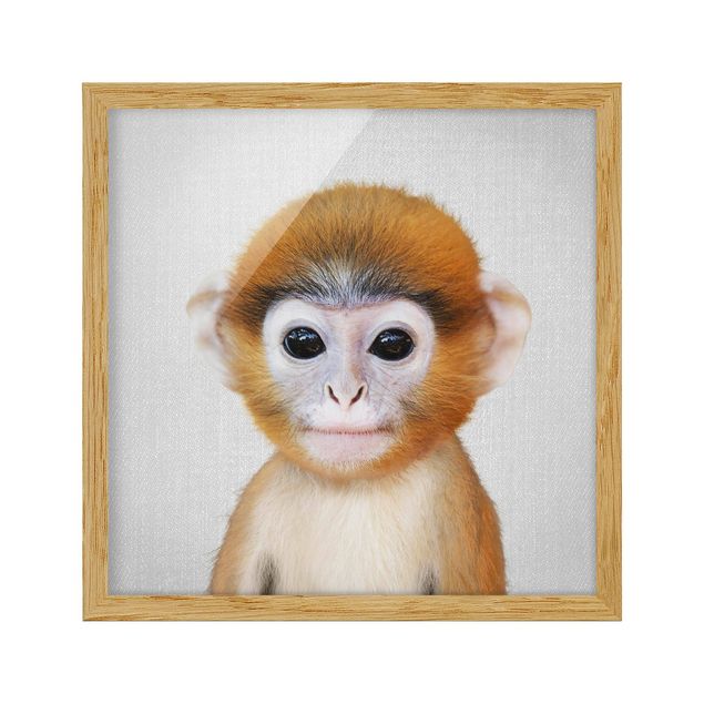 Gerahmte Bilder Tiere Baby Affe Anton